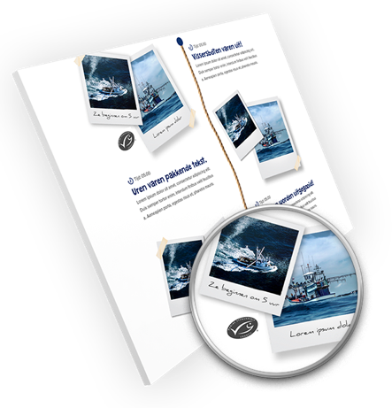 Binnen 16 uur in het blik